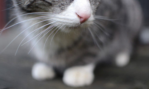 怎么设置电脑的固定ip地址和路由器？