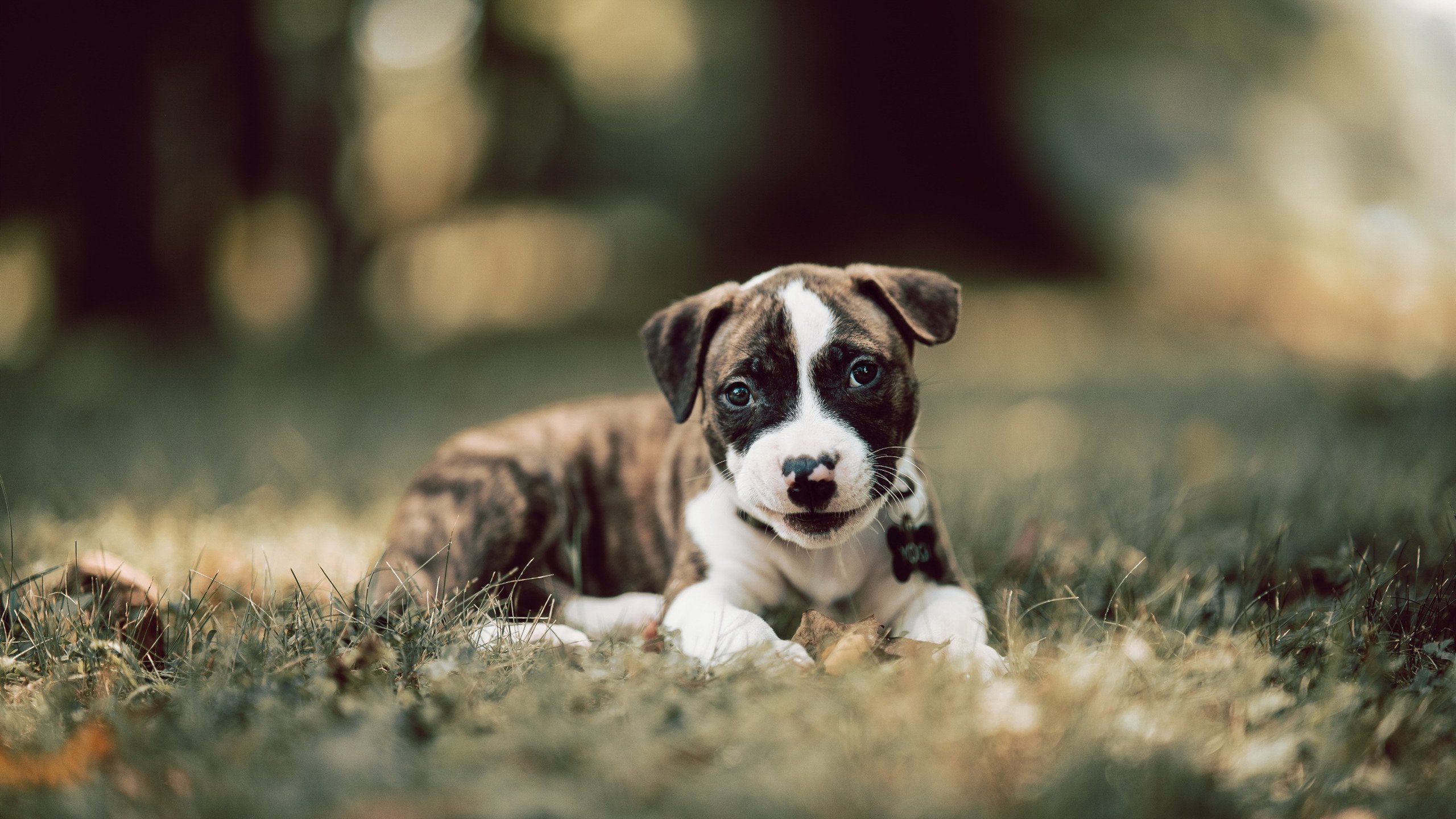 如何让两台电脑共享一个网络连接？