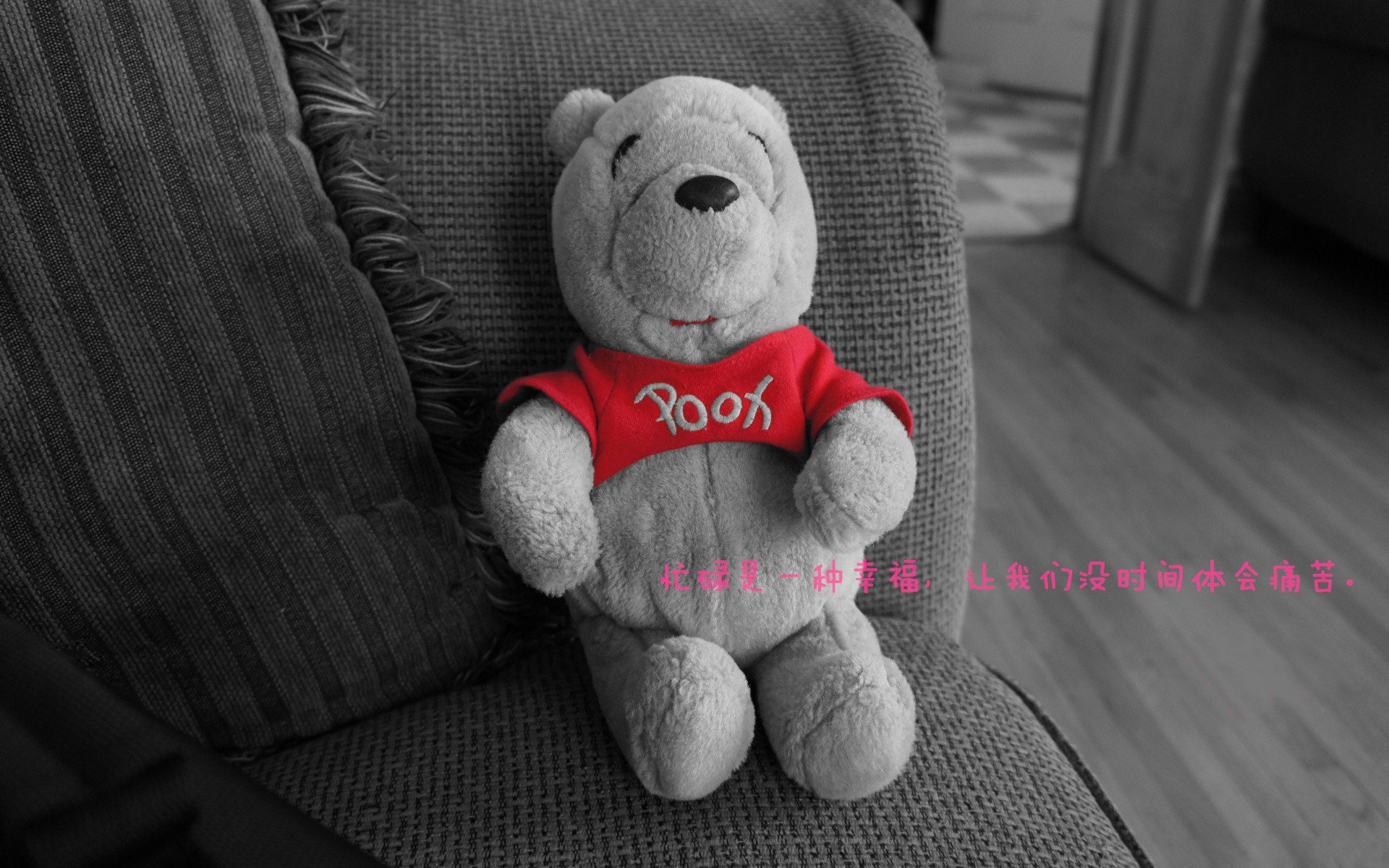 用ssh来管理小米路由器该怎么设置？