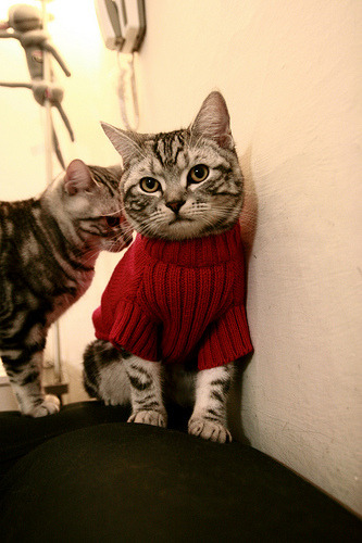 常用快捷键有什么？