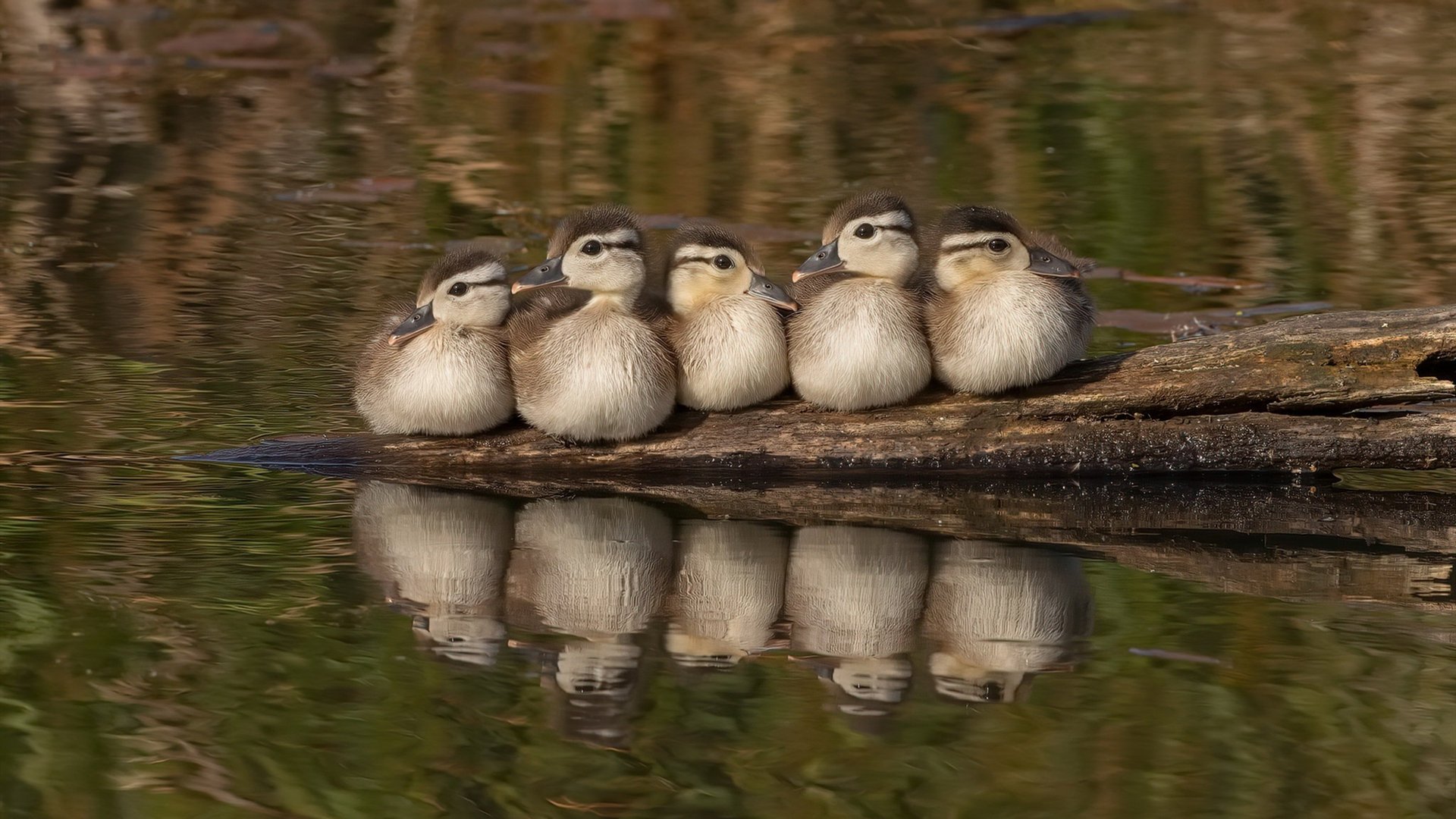 笔记本win10系统怎样设置路由器?