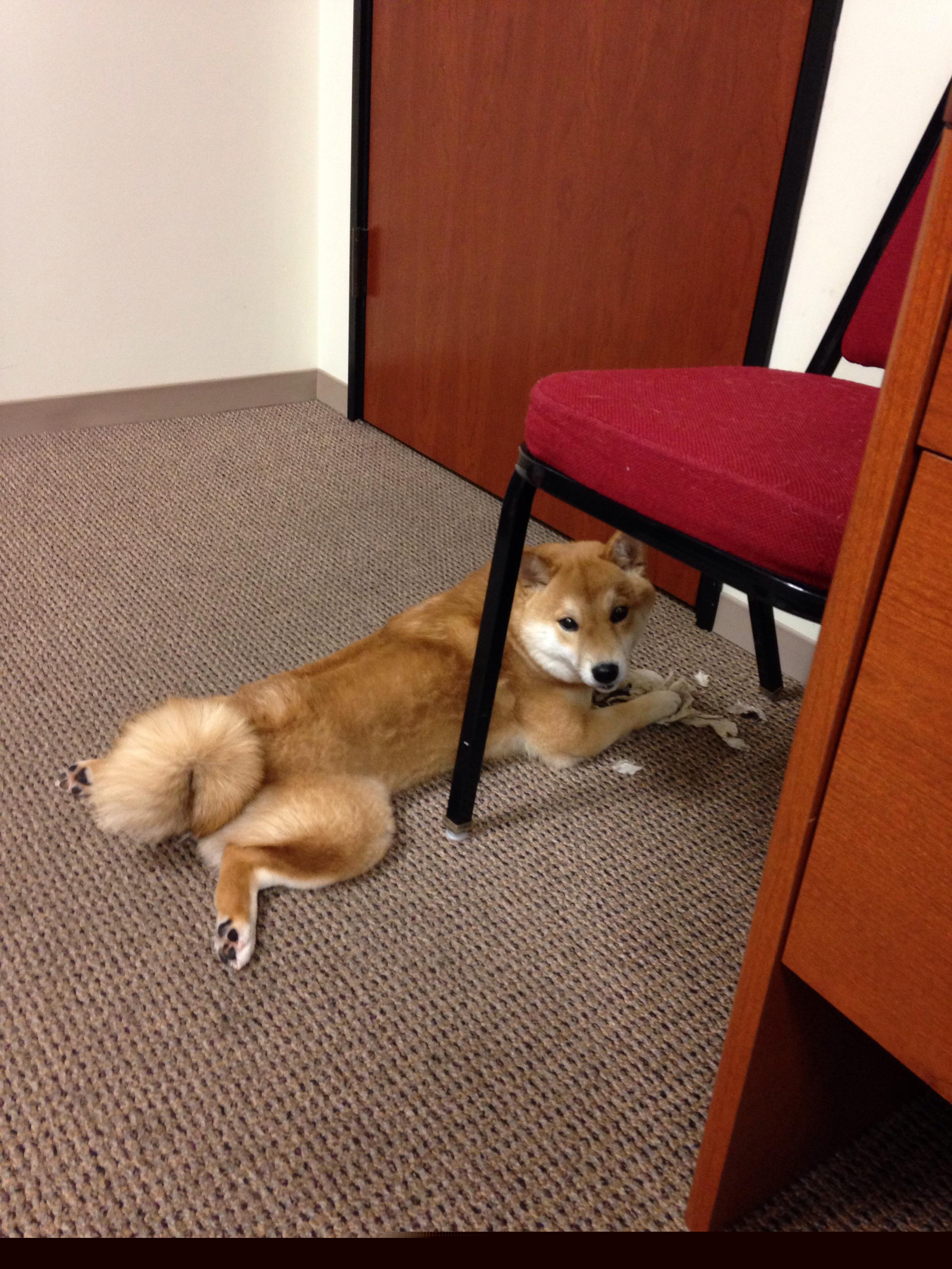 笔记本win10系统怎样设置路由器?