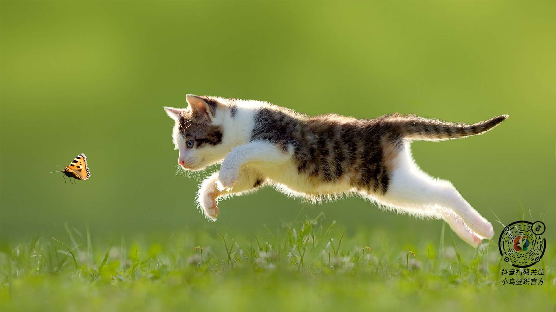 电脑cap截图快捷键?