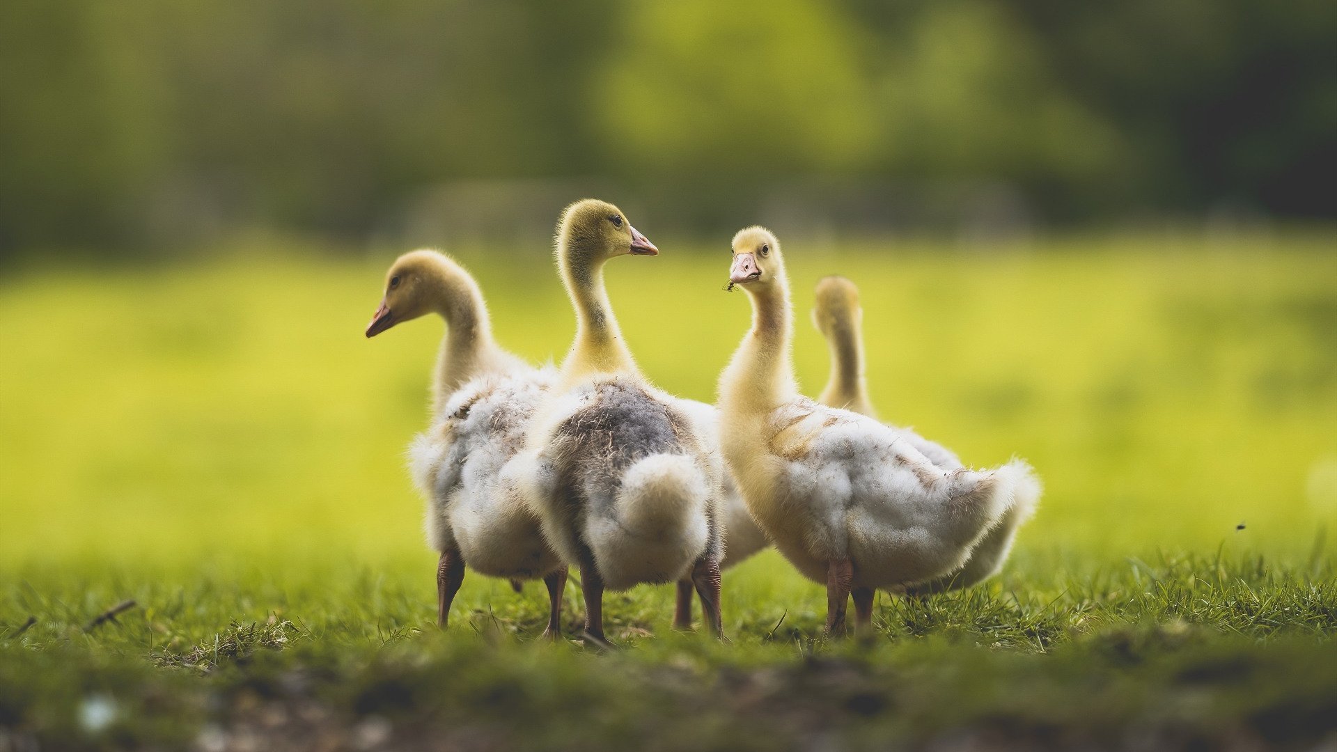 无线路由器怎么设置wifi呢？