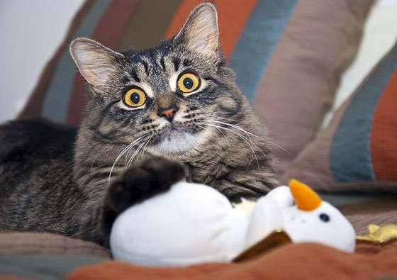 电脑蓝屏代码0x0000001A且进不去系统~怎么回事呀~?