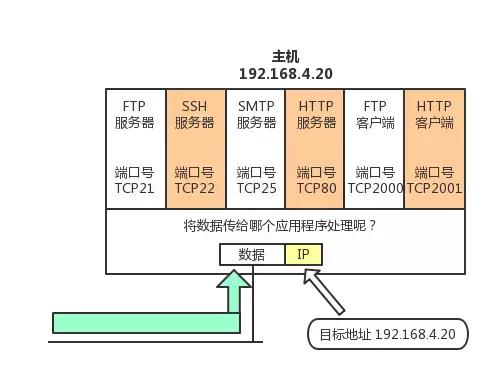 太厉害了,终于有人能把TCP/IP 协议讲的明明白白了