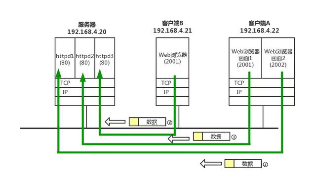 太厉害了,终于有人能把TCP/IP 协议讲的明明白白了