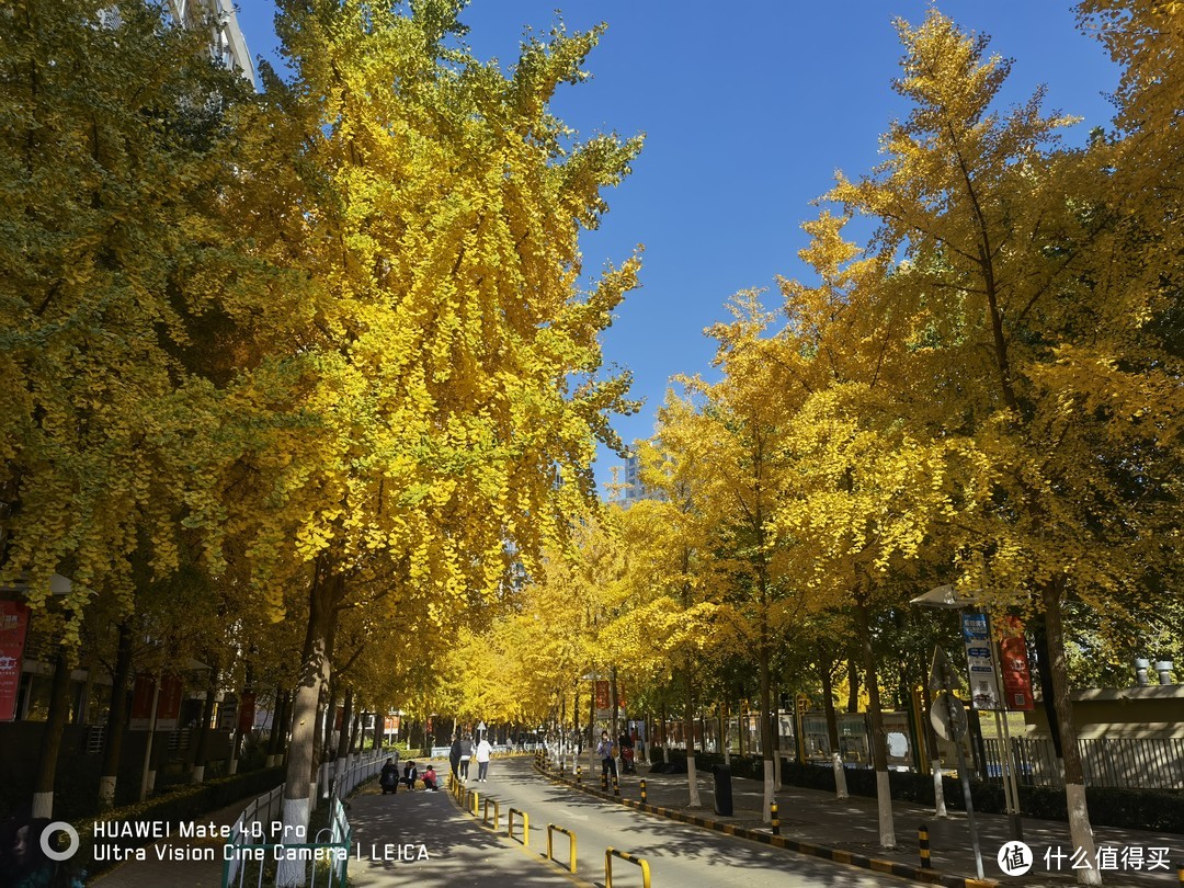 错过鲁班,偶得二代京东云无线宝,三周使用体会,积分还不错。