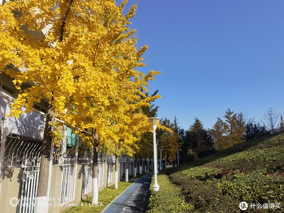 错过鲁班,偶得二代京东云无线宝,三周使用体会,积分还不错。