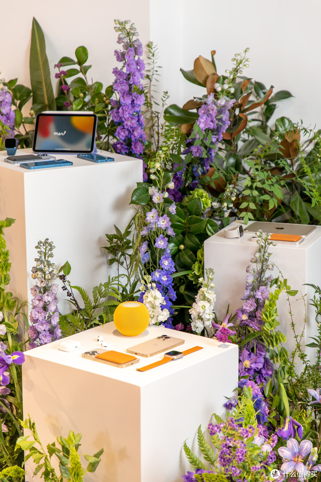 值无不言01期-资深苹果全家桶用户,来聊聊Apple新品的选购