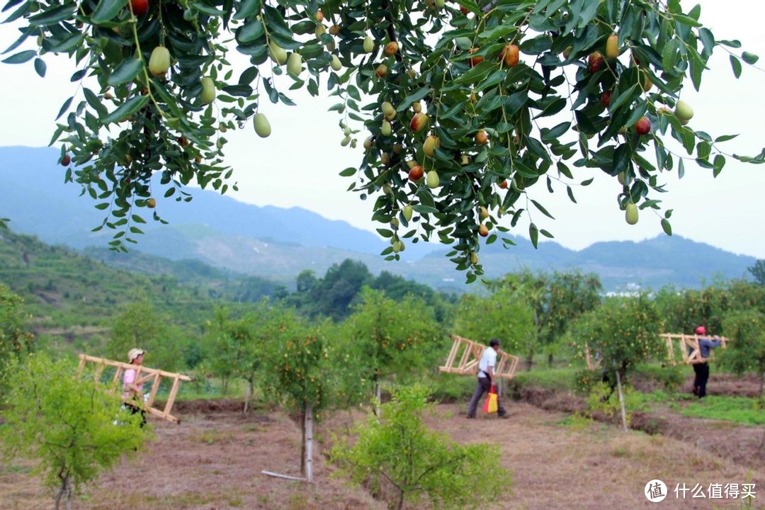 工业级别4G无线路由器,蒲公英R300A体验,性能强扩展性高