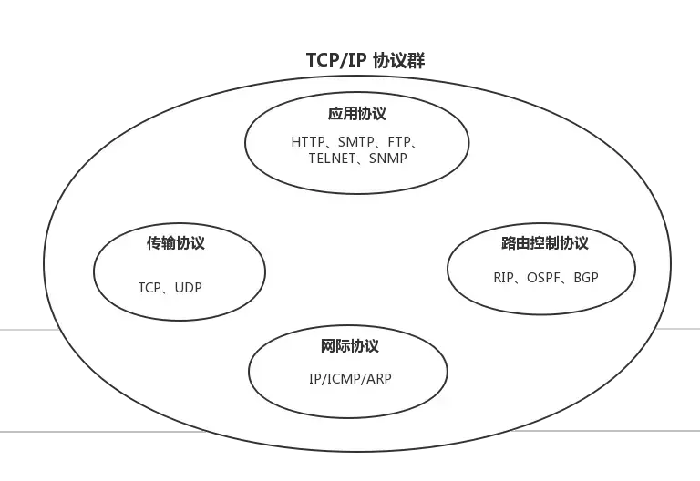 太厉害了,终于有人能把TCP/IP 协议讲的明明白白了