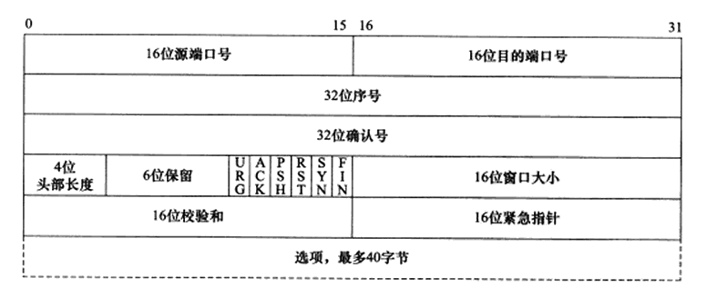 TCP头部结构