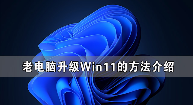 Win11的快捷键有哪些？完成 Win11 快捷键