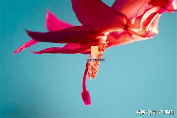 win10电脑的F快捷键的全部作用F1~F12？