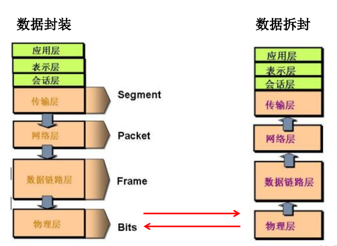 image-20211204081110292