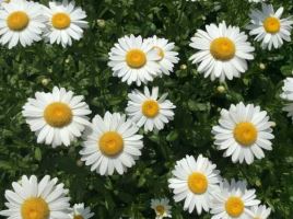 自由口通信小窍门