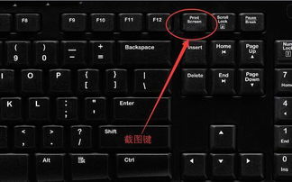 电脑怎么截屏win10