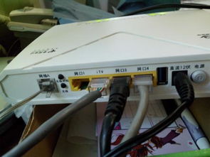 win10如何联路由器上网