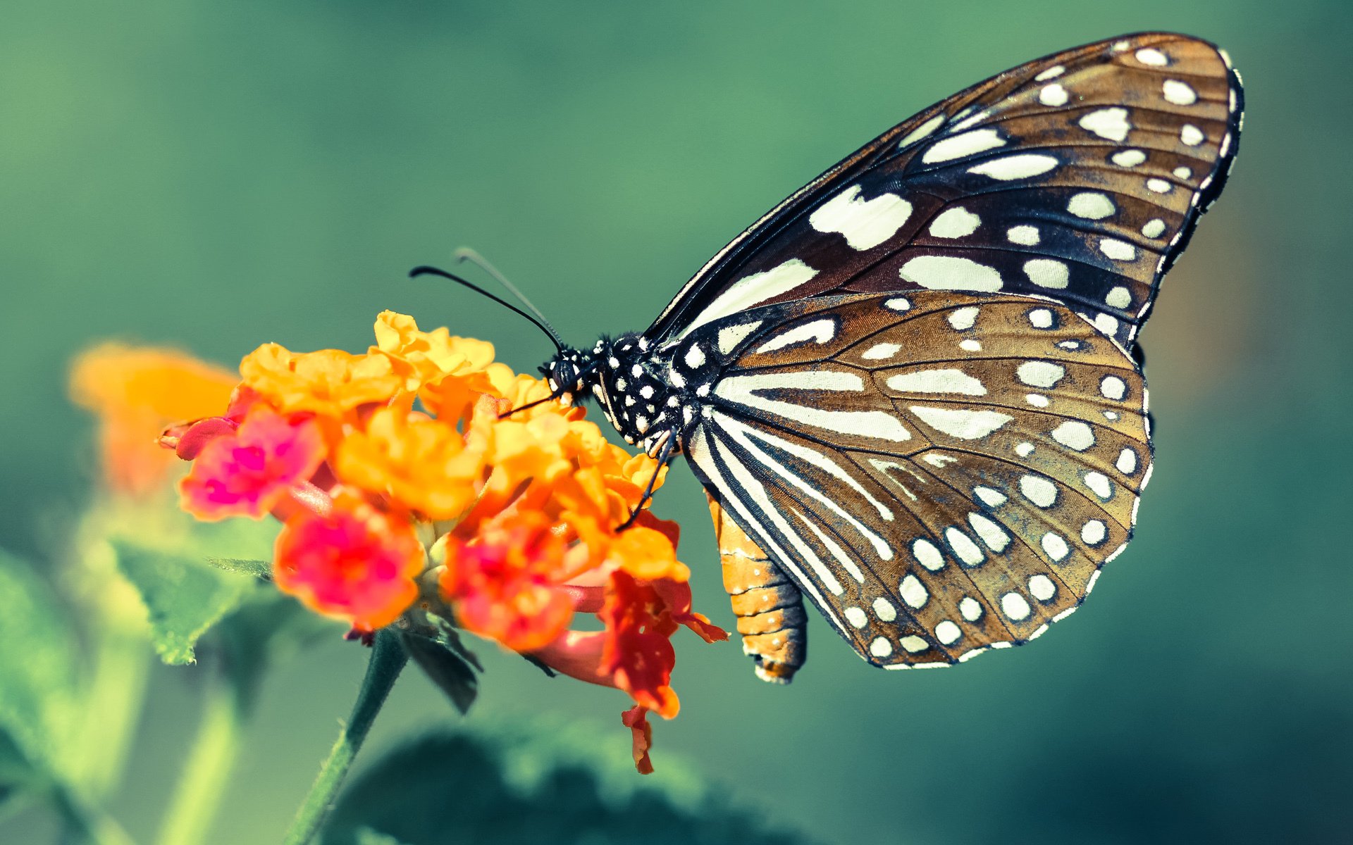怎样设置_怎么设置。路由器设置？