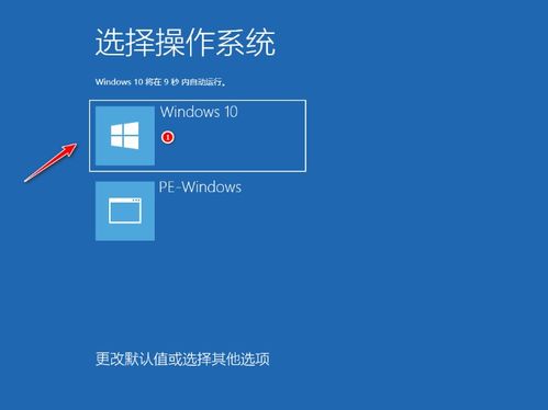 电脑重装专业版win10