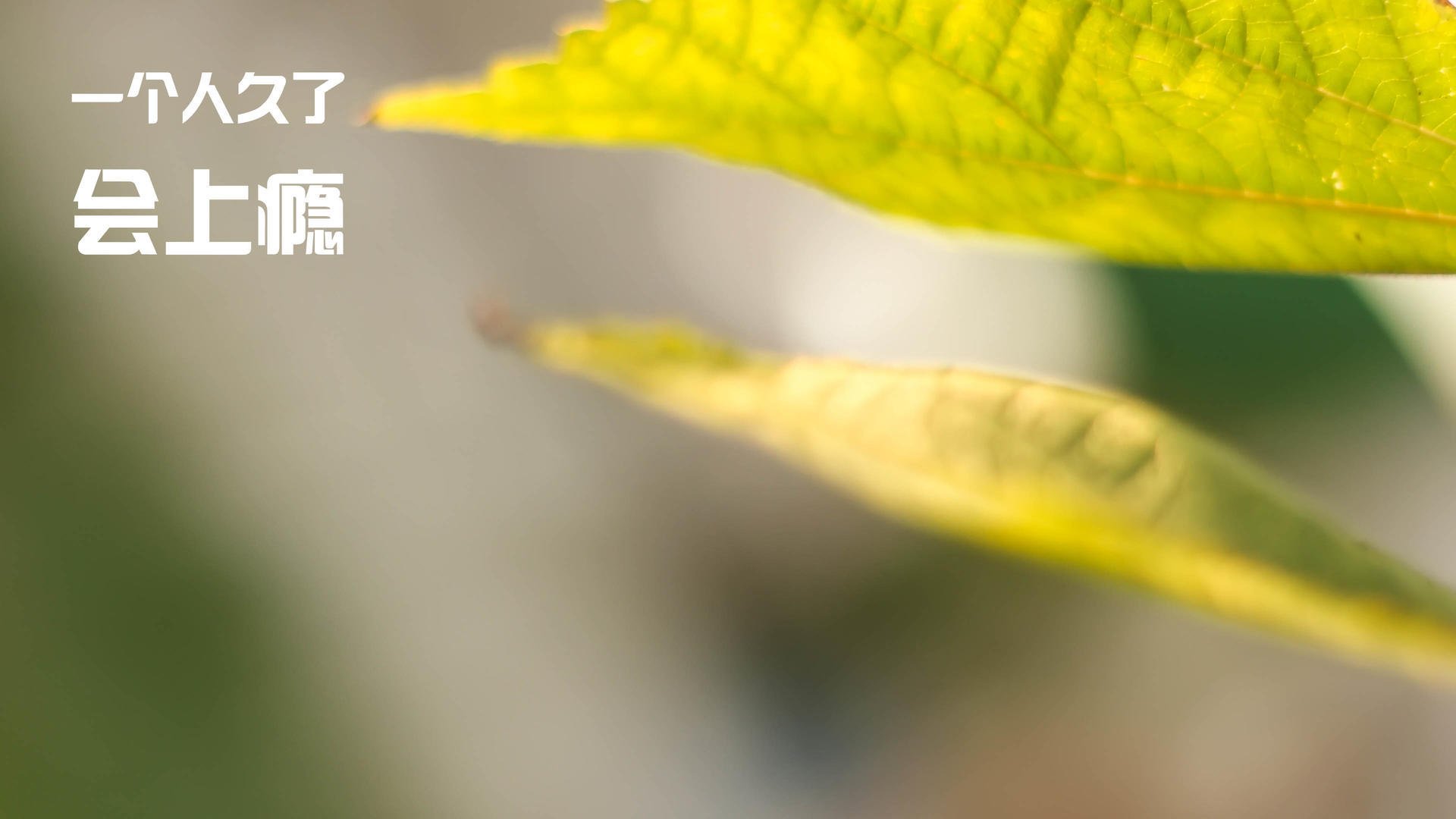 无线桥接路由器怎么设置_无线路由器桥接怎么设置？