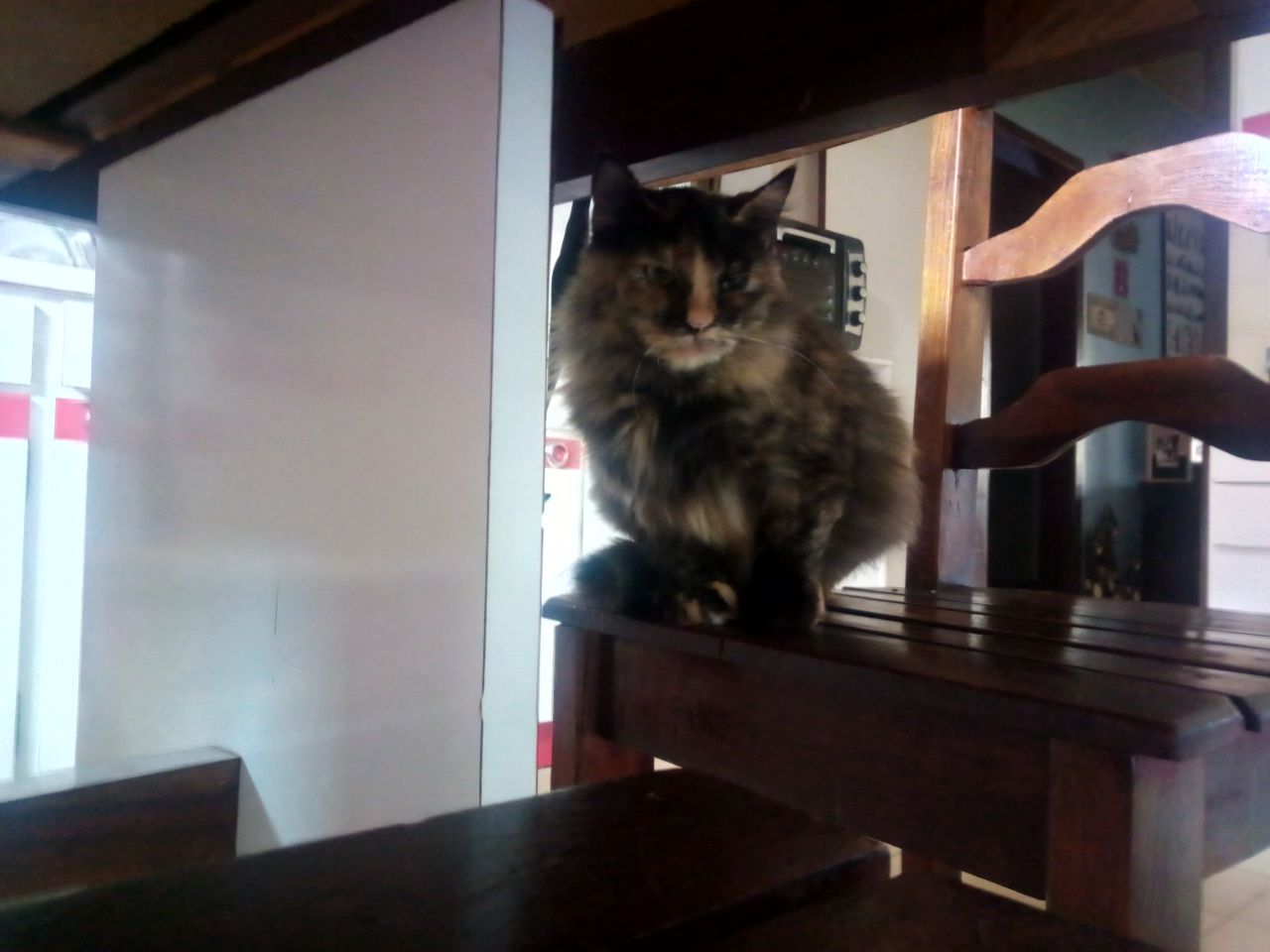 腾达无线路由器如何设置 ?