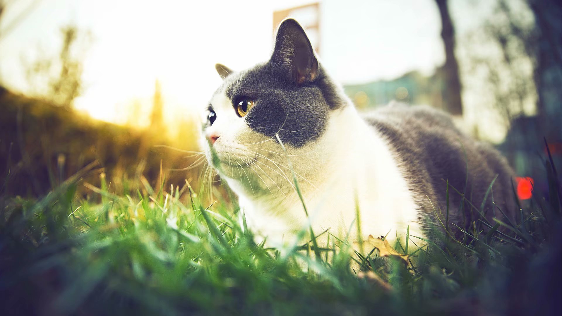 win7常用的八个快捷键是什么呢？