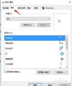 苹果鼠标win10功能设置