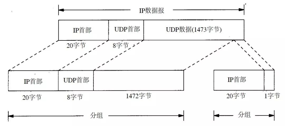 通俗易懂网络协议（IP）