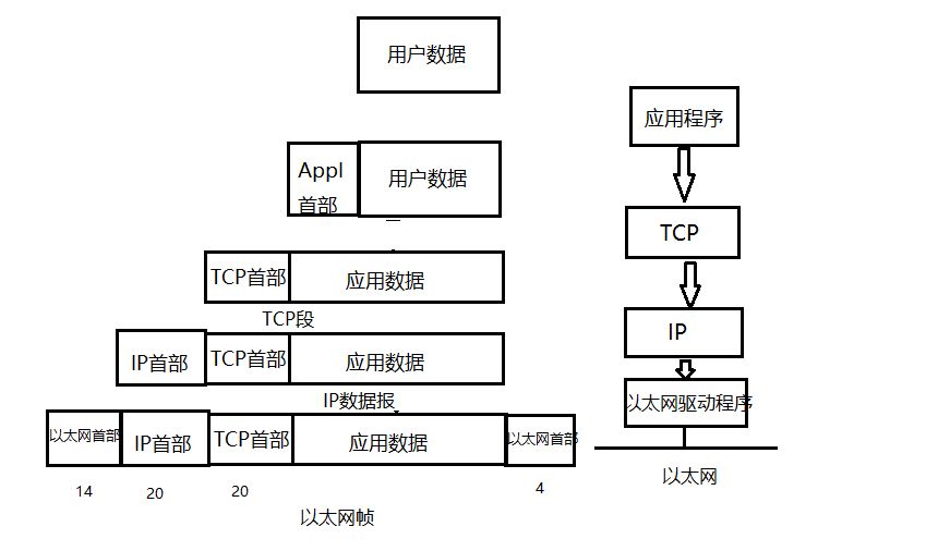 image-20220203214421021