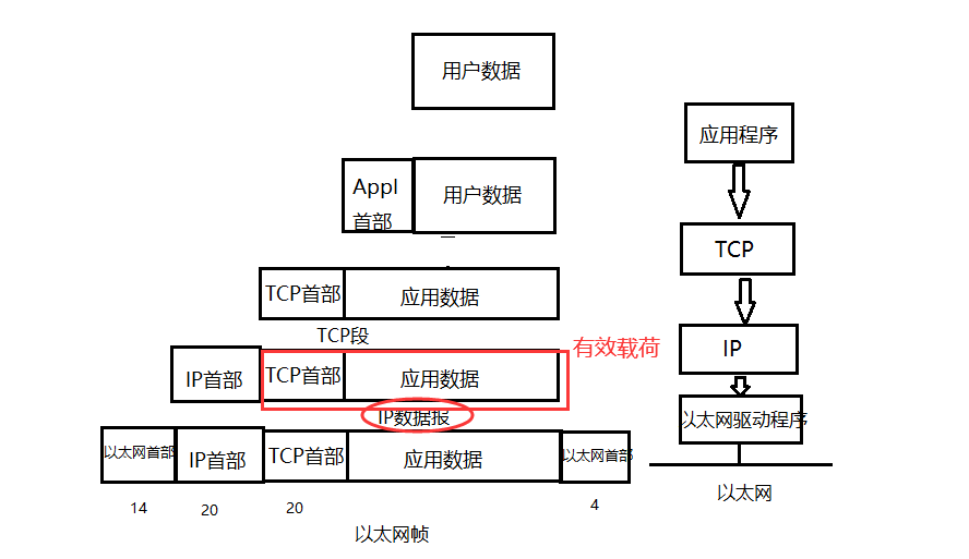 image-20220203214451913