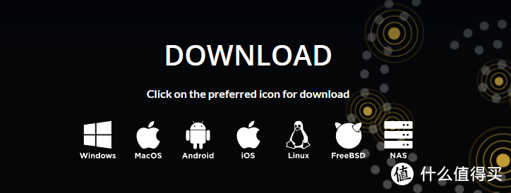 路由器利用zerotier插件实现异地组网、内网穿透、远程管理路由器/NAS等网络设备