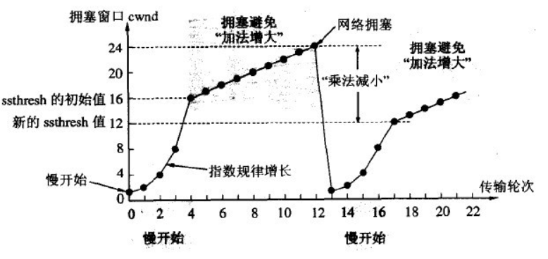 image-20220219143044300