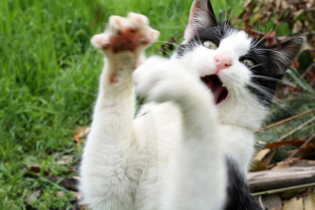 路由器设置里的NAT是什么意思？