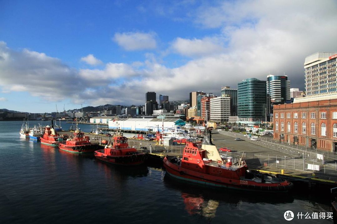 深度体验：带你游玩新西兰首都惠灵顿
