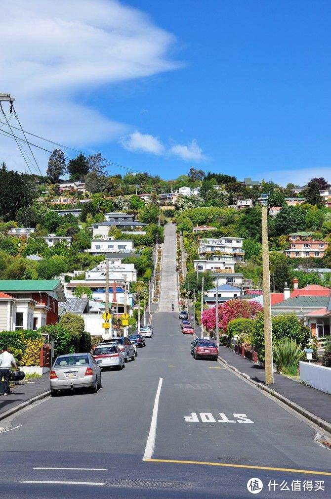 深度体验：带你游玩新西兰首都惠灵顿