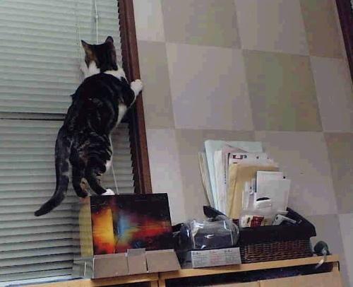 斐讯(PHICOMM)路由器怎么恢复出厂设置？