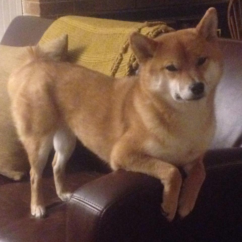 磊科无线路由器怎么恢复出厂设置？