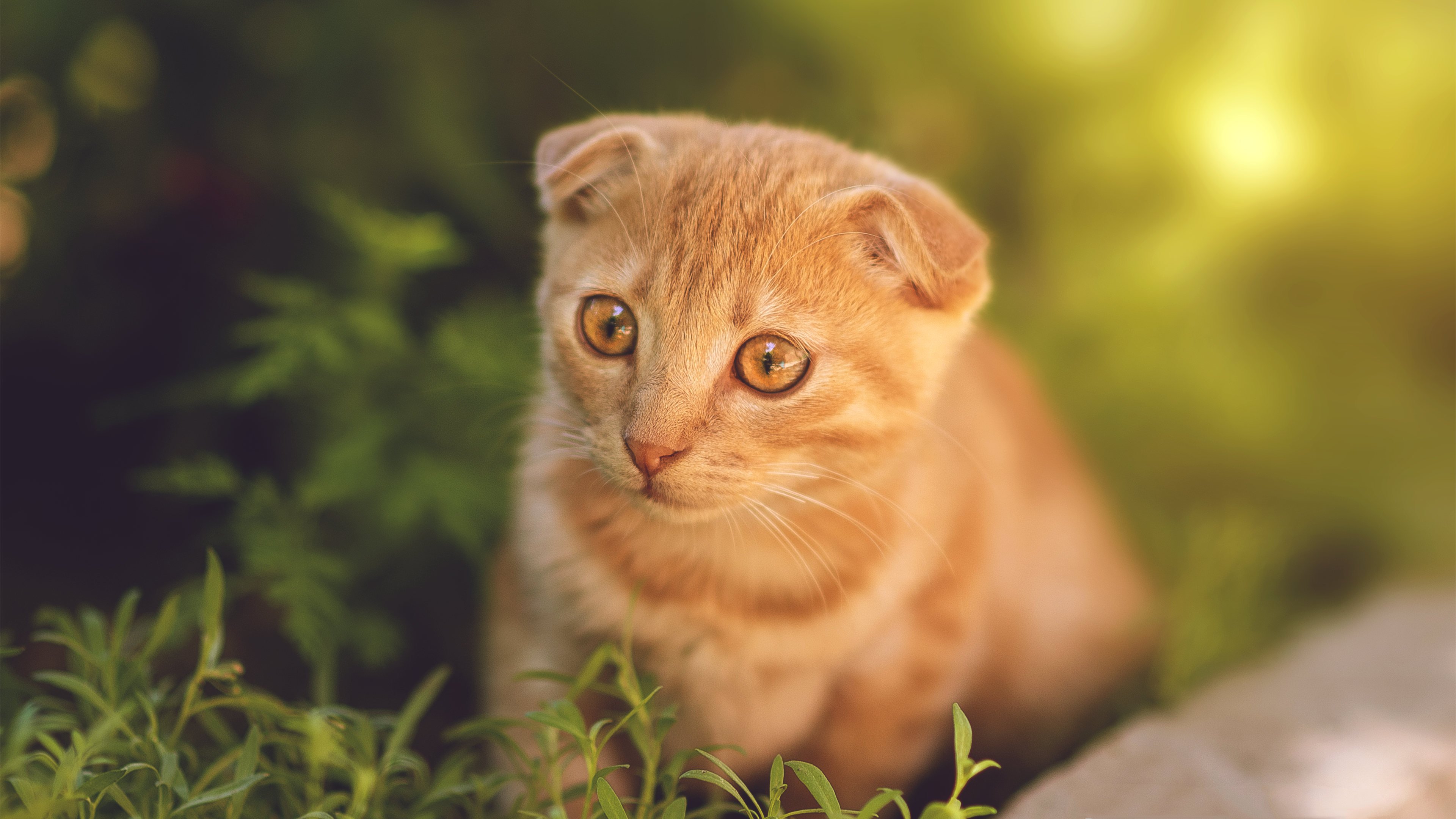 450m无线路由器怎么把速度设置最快？