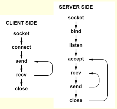 image-20220307220158741