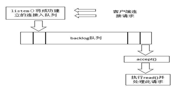 image-20220307221721178