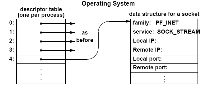 image-20220307215812931