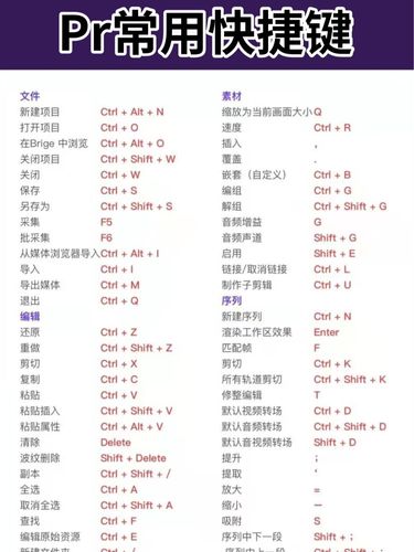 99 - 动画 - 照相机 - 面包 - 布莱德 - 捷径介绍 99 - 动画 - 照相机 - 面包
