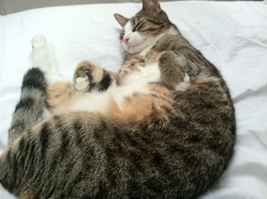 路由器接无线路由器怎么设置同一网段？