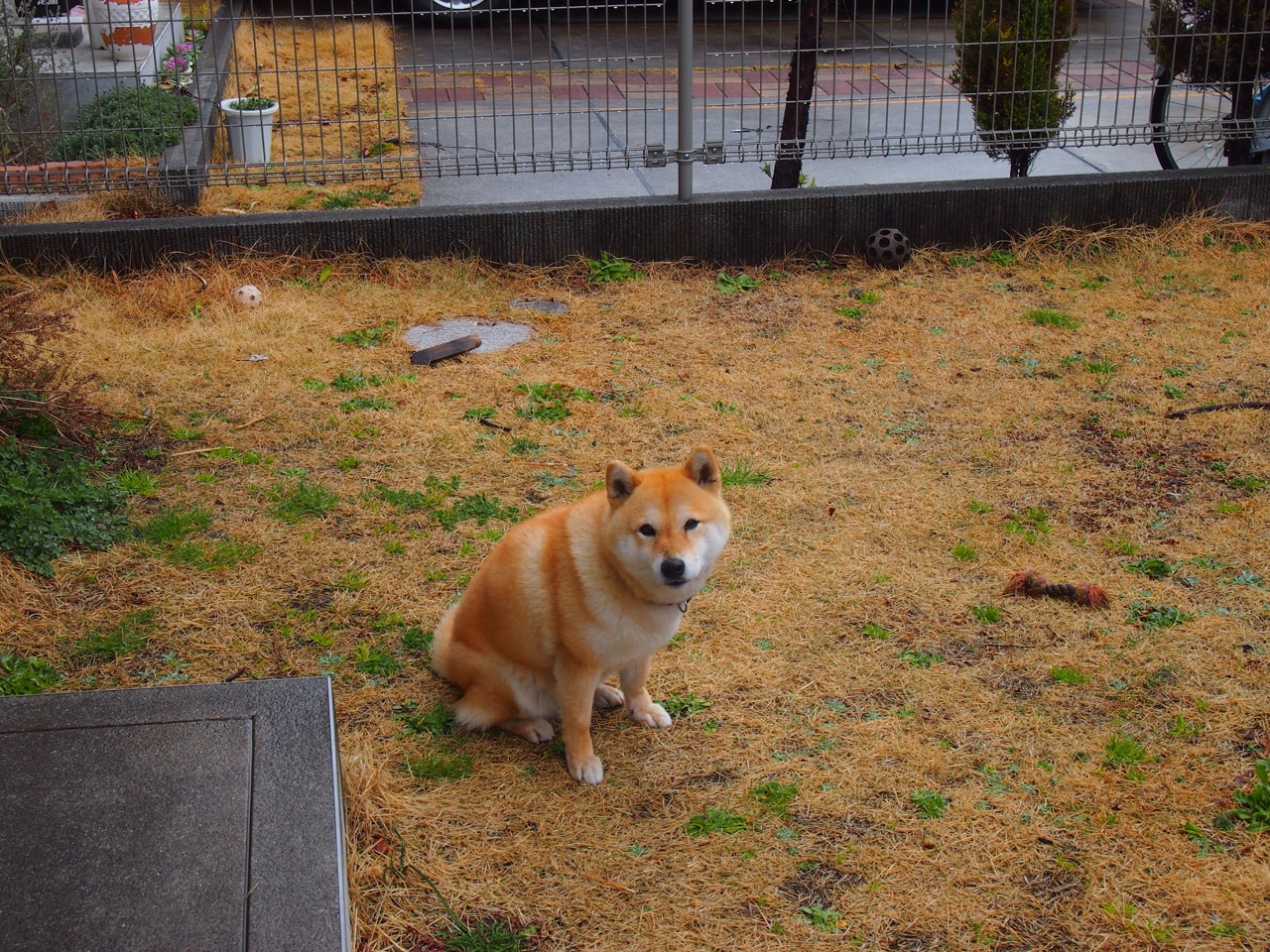 入户的光纤箱在餐厅，想把路由器放到客厅，如何实现客厅电视、卧室电视和宽带的使用？