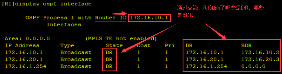 image-20220404193054702