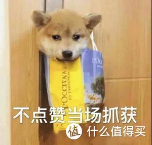 路由器多快才算快？2022 年路由器推荐，上网到底需要一个怎么样的路由器？给你一个完全不一样的答案