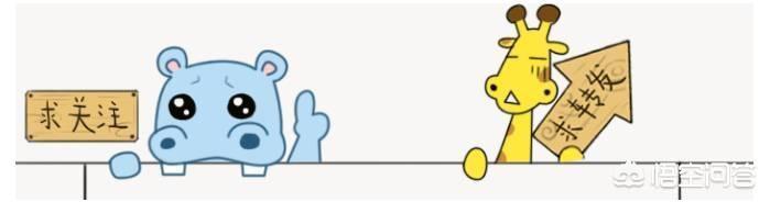 无线网络信道设置有哪些技巧？
