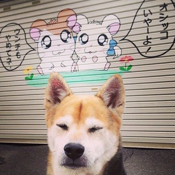 如何设置两个无线路由器组网？